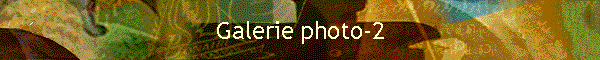 Galerie photo-2