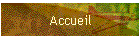 Accueil
